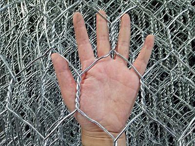 手机在线观看 你懂的 leyu乐鱼登陆:手机在线观看 你懂的