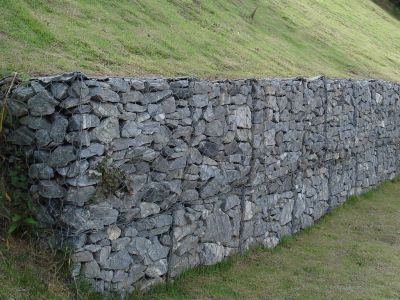 leyu乐鱼登陆：8部分联合印发关于快速推动深远海饲养展开的定见